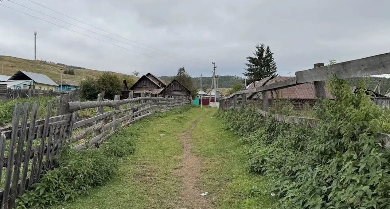 До 1 марта 2031 года: садоводы Башкирии могут получить землю бесплатно и без торгов