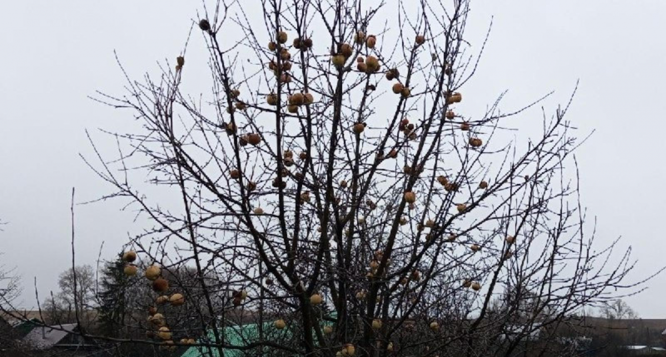 В Уфе побит 60-летний температурный рекорд: +4,2° против +3,4° в 1965 году