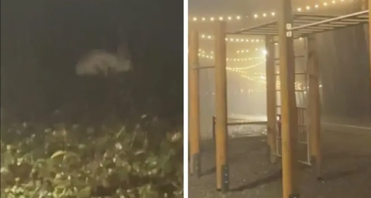 Побелевший заяц попал на видео на Уфимском ожерелье: эксперт объяснил, почему звери выходят к людям