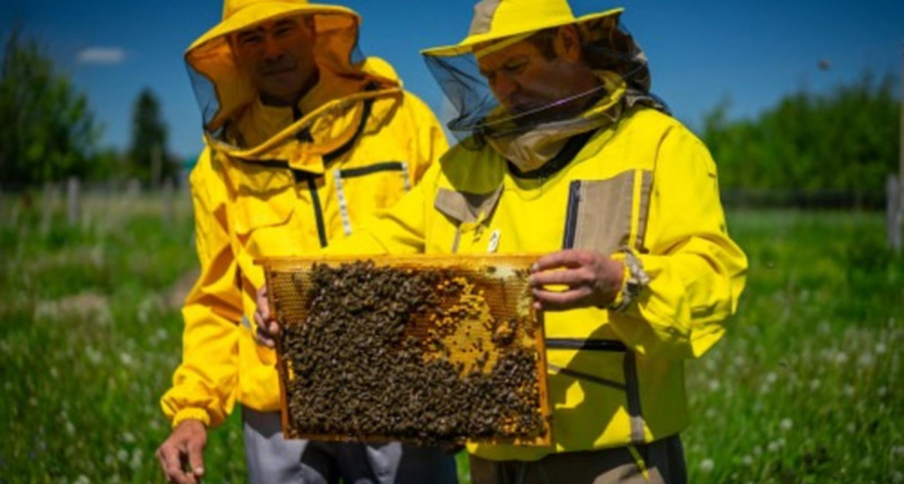 Четыре фермы Башкирии разделили 45 млн рублей: республика выделила на малый агробизнес 420 млн