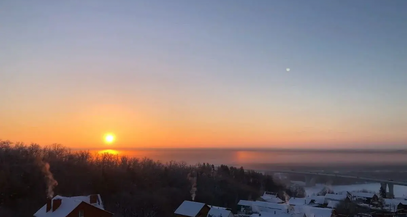 Хабиров снял карантин по бешенству в деревнях Ягодная и Авангард: что теперь разрешено