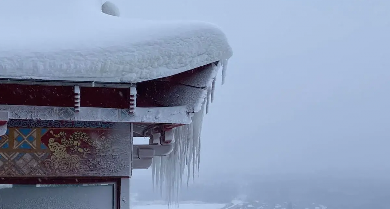 11 участков в трех селах Башкирии раздают бесплатно: кто может получить землю