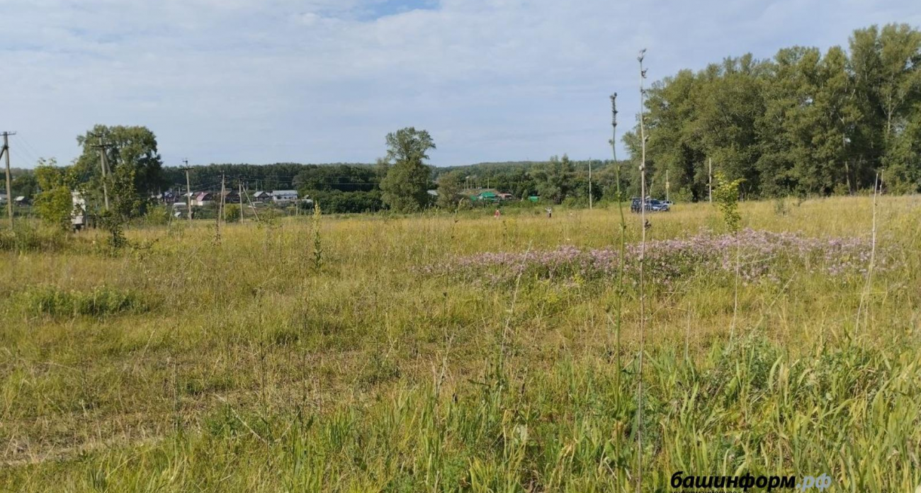 Башкирия ужесточит правила перевода сельхозземель: нужен закон и одобрение Москвы