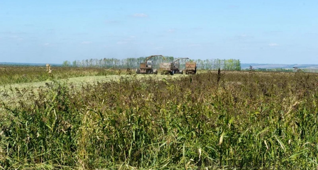 Башкирия отменила запрет на объединение участков с разными назначениями с марта 2026