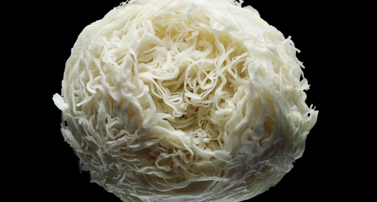 Миллиарды бактерий в квашеной капусте спасают суставы от воспаления