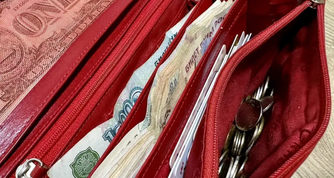 14% доходов башкиры отдают на налоги и взносы — рекорд за 5 лет