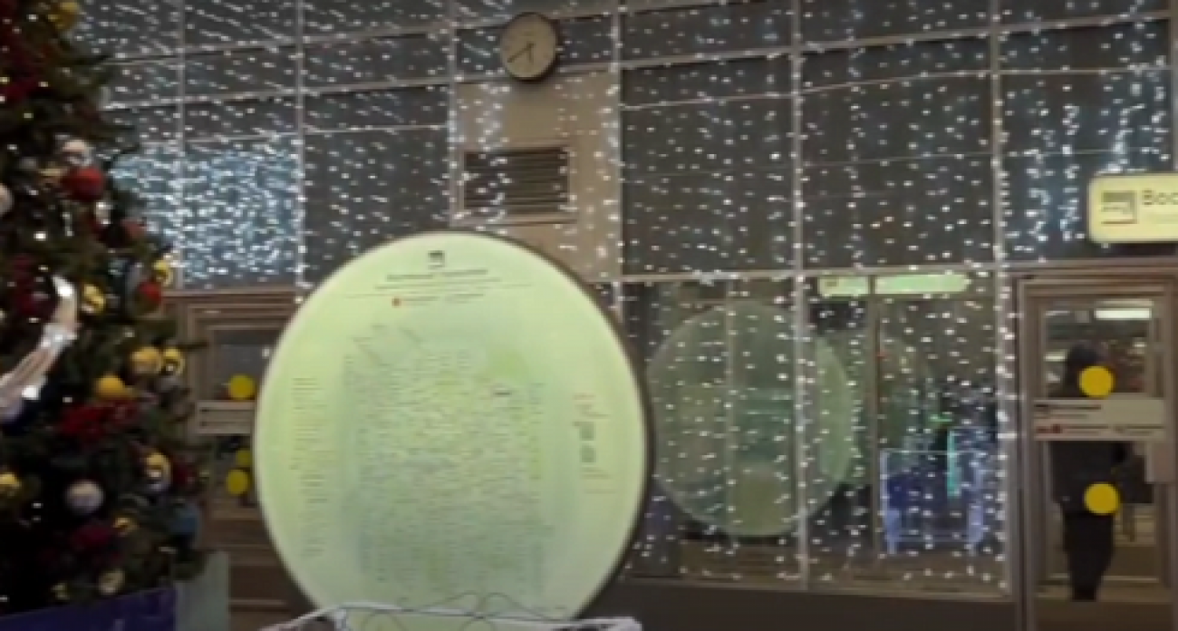 Вокзалы МЖД превратились в сказку: елки, иллюминация и праздничная магия