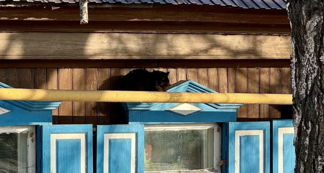 Газификация за три условия: как бесплатно подвести газ к дому