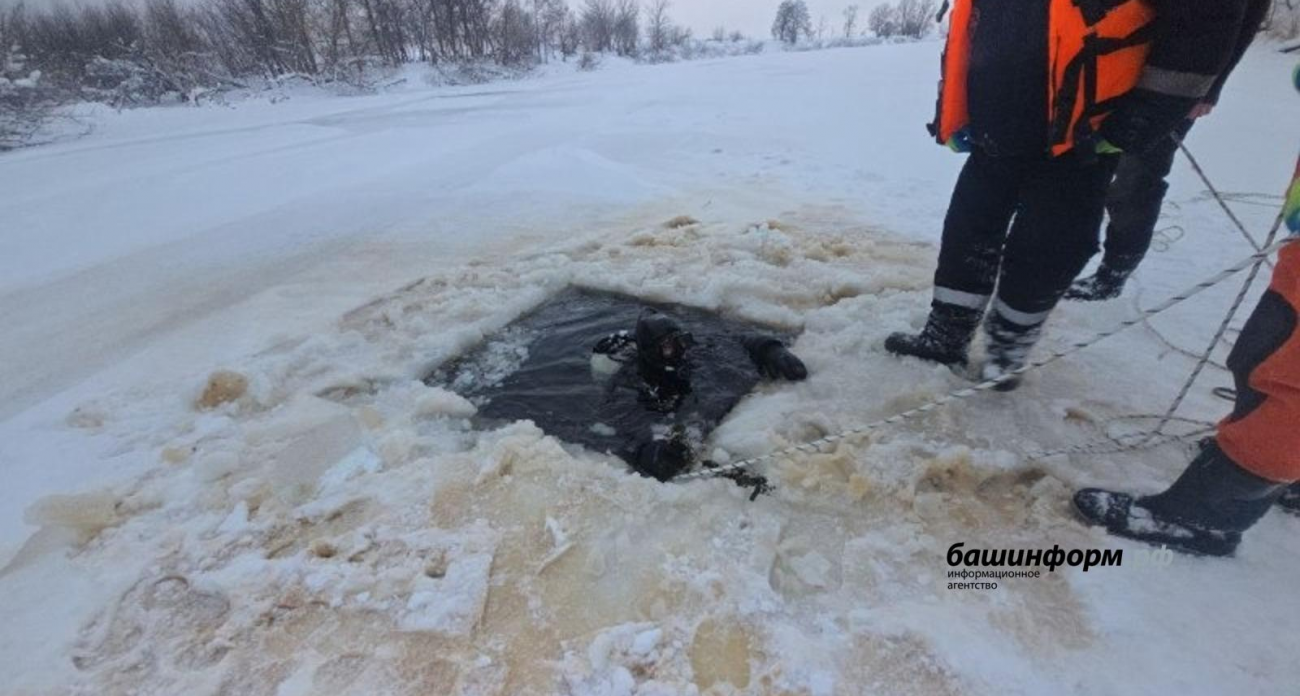 960 овец под льдом: девятидневная спасательная операция в Башкирии