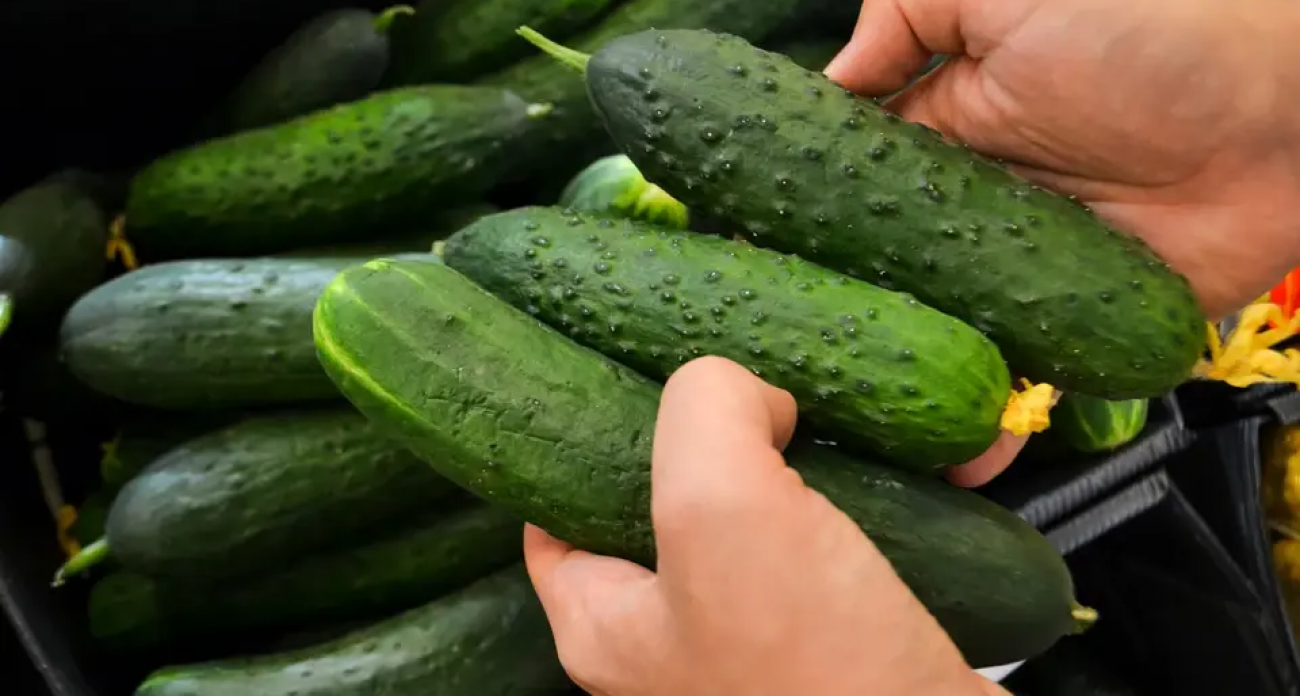 Огурцы подорожали на 11% за неделю: рост цен в Башкирии