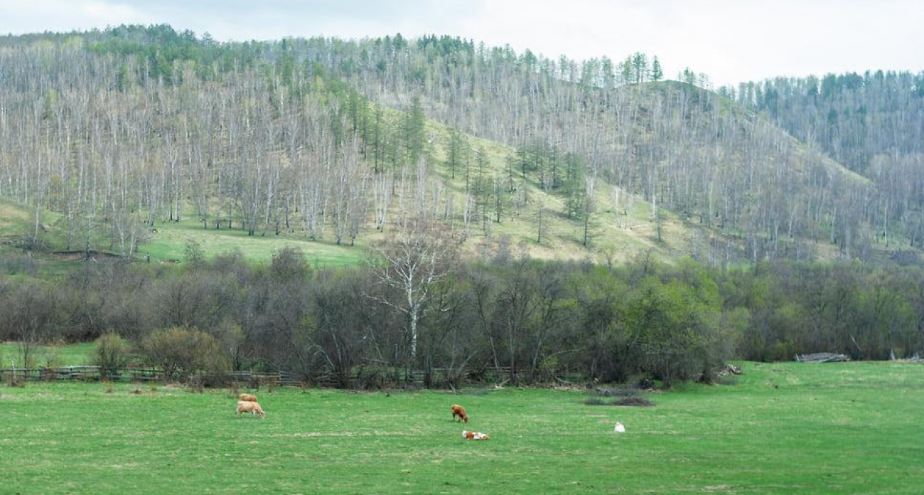Башкирия почти в 4 раза расширит список охраняемых природных памятников