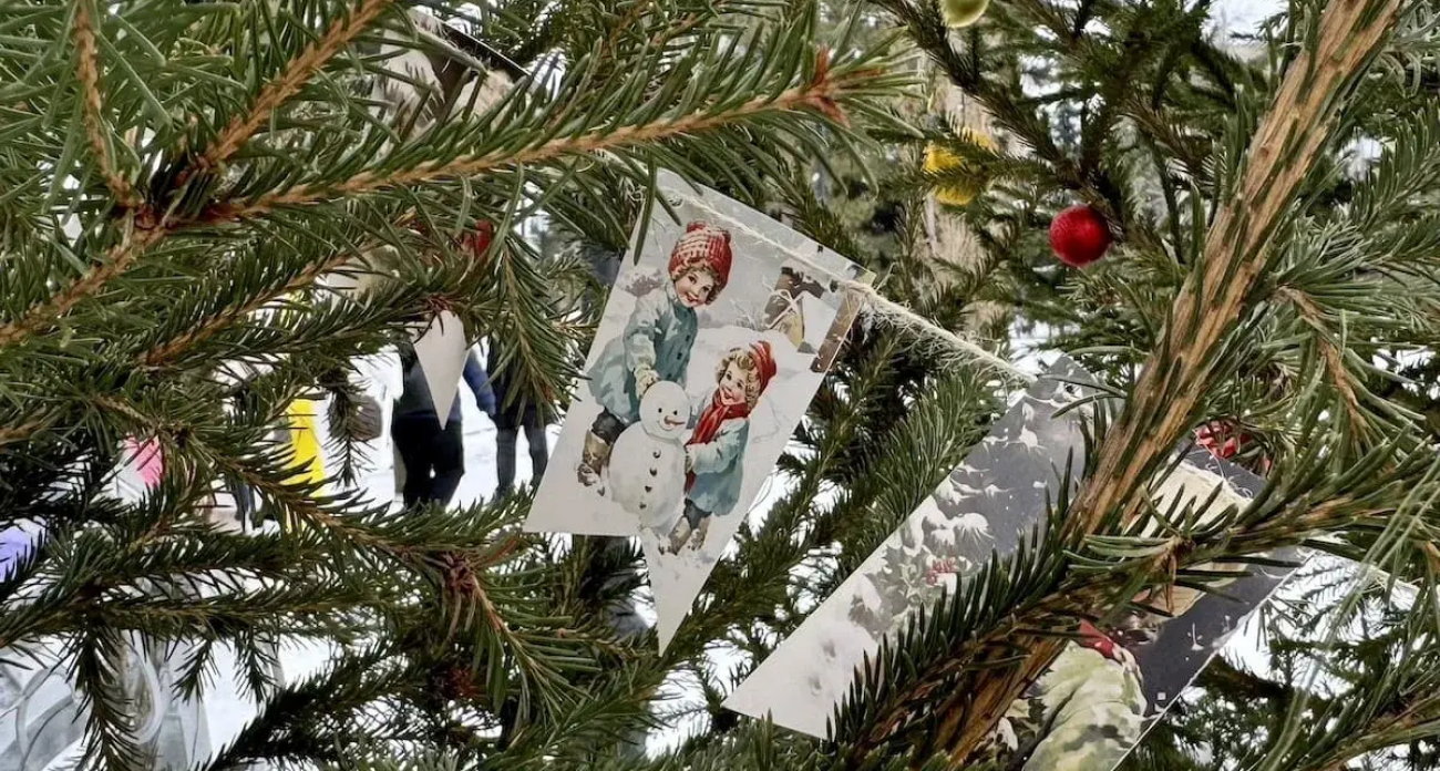 Новый год как проект: психолог назвала главную причину выгорания до 31 декабря