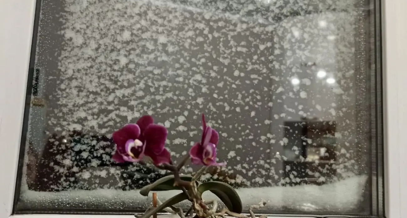 Ветер до 20 м/с и мороз -26°: МЧС объявило штормовое предупреждение в Башкирии