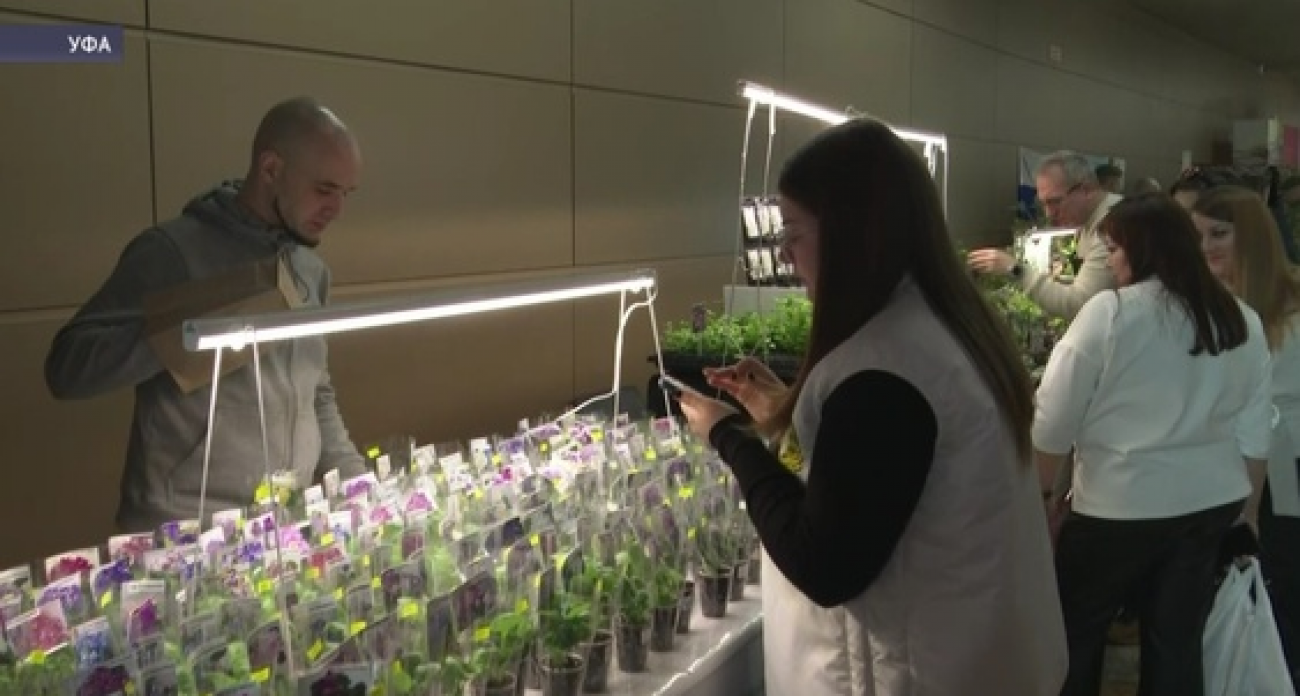 Башкирский опыт поддержки дачников перенимают другие регионы России