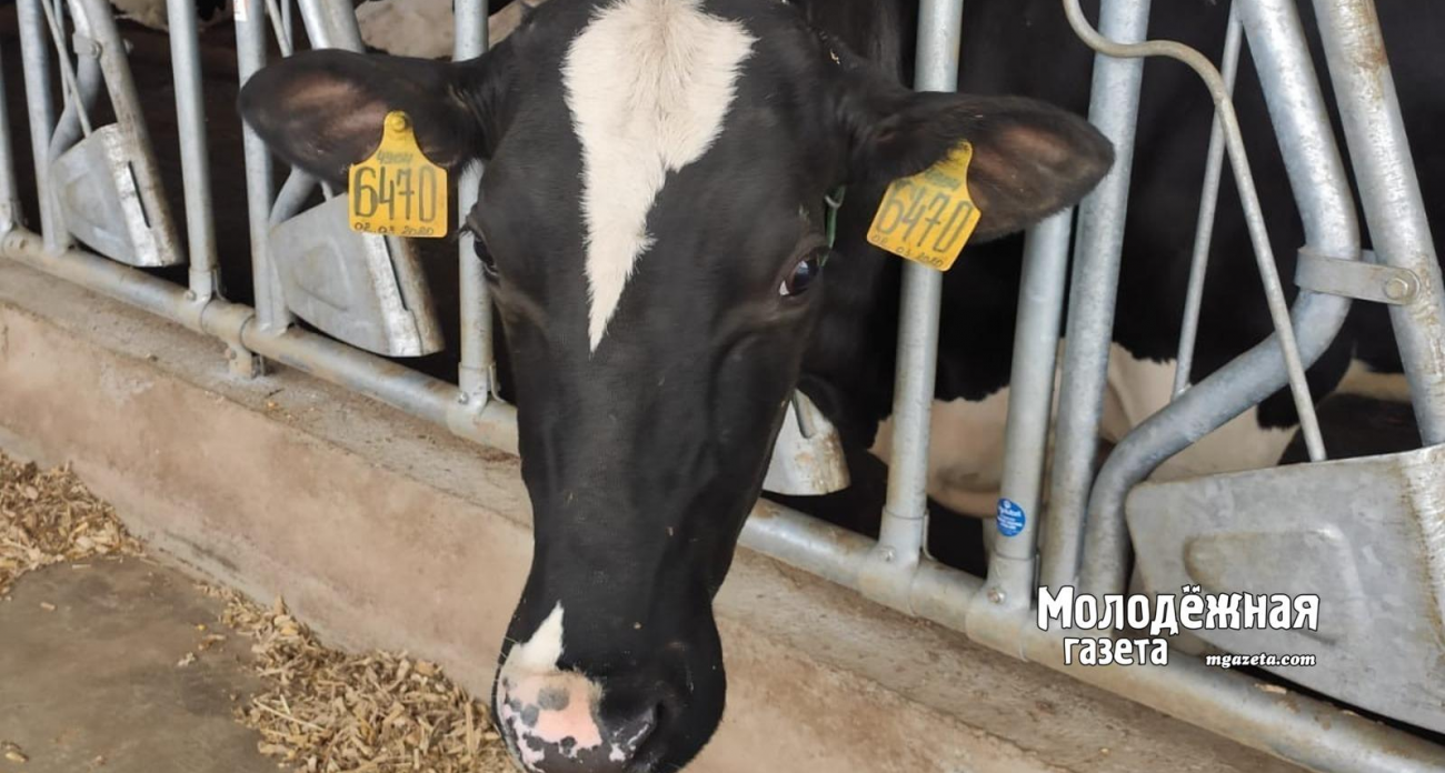 Пять стран съедутся в Уфу за агротехнологиями будущего