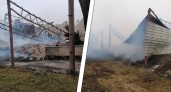 В Башкирии сгорело 600 тонн сена на частном складе