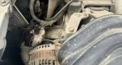 В Уфе спасатели вытащили кота, застрявшего в двигателе Nissan Juke