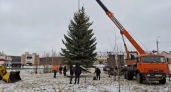 Житель Уфы подарил городу 12-метровую ель для новогоднего городка