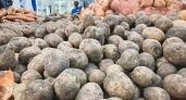 Цены на продукты в Башкирии: картофель подорожал почти вдвое