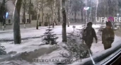 В центре Уфы пара украла новогоднюю ель, которую растили 6 лет