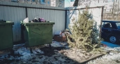 Башкирия предложила включить новогодние елки и листву в категорию бытовых отходов