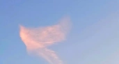 Житель Башкирии сфотографировал облако в виде сказочной птицы