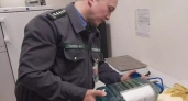 В уфимском аэропорту уничтожили 30 кг грузинских деликатесов без документов