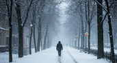 Возвращение зимы: снегопады и метели ожидают россиян с 6 мая