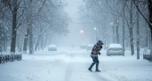 Резкое возвращение зимы: снег и метели накроют россиян с 6 мая