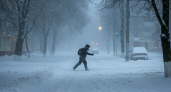 Резкое возвращение зимы: снег и метели накроют россиян с 6 мая