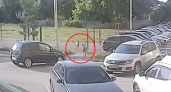 В Уфе ищут пару диких косуль, замеченных в жилом районе