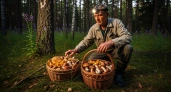 За грибами в сумерках: в чем секрет, объясняет самый опытный ночной грибник