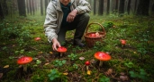 Вкуснейший гриб, который обычно обходят стороной: невероятно аппетитный - собираю постоянно, пока другие игнорируют