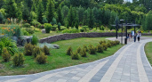 В Уфе создают новую рекреационную зону с брусчаткой у Непейцевского дендропарка