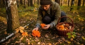 Природа скрывает гриба, который обманывает вкусовые рецепторы: вот как обычная сыроежка становится деликатесом за тысячи рублей