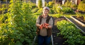 Дачники молча перешли на эти 4 культуры вместо картошки: их участки теперь приносят в 3 раза больше пользы
