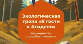 На Большом острове открыли семейную экотропу в минутах ходьбы от города