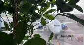 Пьяный мойщик пробил фюзеляж Utair? Аэропорт Уфы назвал вирусную историю фейком
