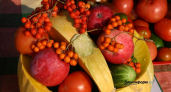 57 ярмарок за три дня: Башкирия приглашает на праздник свежих продуктов