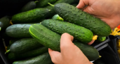 Огурцы подорожали на 11% за неделю: рост цен в Башкирии