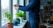 Мастер окон раскрыл секрет вентиляции без сквозняков, который сохранит тепло и позволит не убирать цветы с подоконника