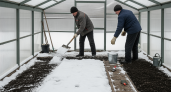 Случайно подсмотрел у деда старый трюк со снегом в теплице и теперь мой урожай в разы богаче