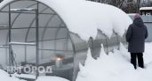 Опытные дачники молчат об этом хитром способе убрать снег с теплицы за минуту без лопаты