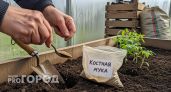 Насыпаю горсть этого порошка под каждый томат — кусты растут как на дрожжах и плодоносят до морозов
