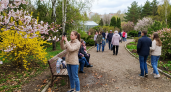 Сакура и магнолия готовятся зацвести в ботаническом саду Уфы