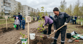 В Башкирии за один день высадили 2,1 тысячи деревьев и открыли 54 аллеи
