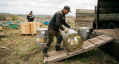 Башкирия отправила в Сербию свыше 20 тонн цветочного мёда