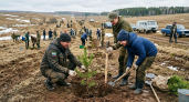 «Зеленая Башкирия»: 95 новых аллей заложили за две недели весеннего сезона