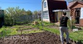 Забудьте про прополку: я засеваю грядки этим растением и навсегда избавляюсь от сорняков без лишних усилий