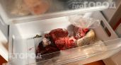 Рискуете здоровьем по незнанию: проверьте сроки хранения мяса в морозилке чтобы не выбрасывать продукты зря